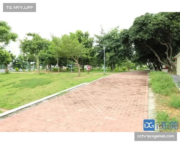 罗马新球场建设项目获得市政府最终环境许可批复